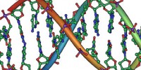 image: Billion dollar babies of the human genome