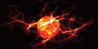 image: The Movement of Goods Around the Cell