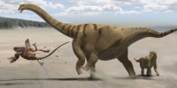 image: One Hip Dino