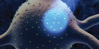 image: The Birth of Optogenetics