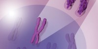 image: Epigenetics—A Primer
