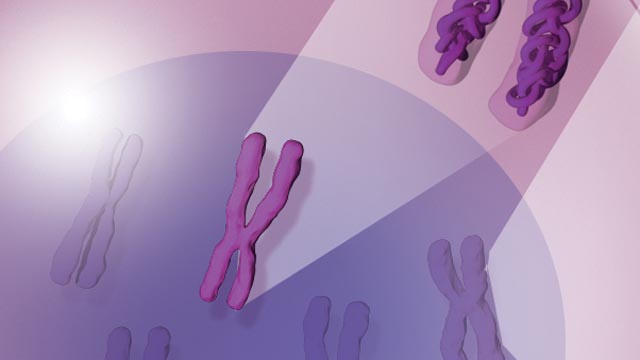 Epigenetics—A Primer image: Epigenetics—A Primer
