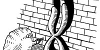 image: Mitotic Hijacker