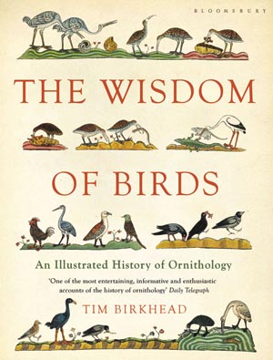 The Birds and the Bees image: The Birds and the Bees