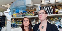 Dr. Maralice Conacci-Sorrell (left), a postdoctoral fellow, and Celine Ngouenet, research technician, found a new form of the Myc-encoded protein, dubbed Myc-nick. Both work in the Hutchinson Center’s Basic Science Division.Dean Forbes | Fred Hutchinson Cancer Research Center
