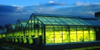 A greenhouse at the Donald Danforth Plant Science Center, this year's 8th-ranked US institution, illuminates at night.Danforth Plant Science Center