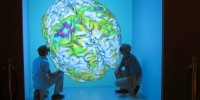 Scientists at the Groningen Neuroimaging Center examine a 3D visualization of a human brain in the 