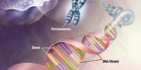 image: Our own 60 mutations
