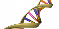 image: DNA-based calculator