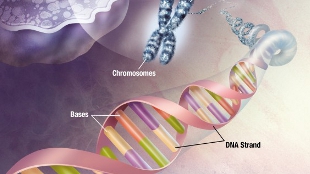 Our own 60 mutations image: Our own 60 mutations