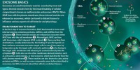 image: Exosome Basics