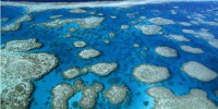 image: Satellite images capture fish fear