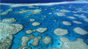 Satellite images capture fish fear image: Satellite images capture fish fear