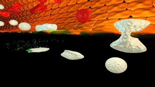 Top 7 in vaccination image: Top 7 in vaccination