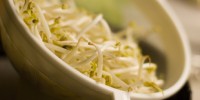 image: Sprouts spawn deadly <em>E. coli</em>
