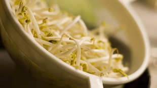 Sprouts spawn deadly <em>E. coli</em> image: Sprouts spawn deadly <em>E. coli</em>