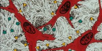 image: The essence of stem cells 