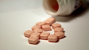 Cellular capsules deliver drugs image: Cellular capsules deliver drugs
