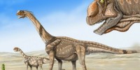 image: Warm-Blooded Dinos?
