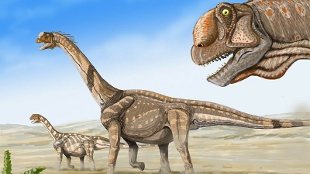Warm-Blooded Dinos? image: Warm-Blooded Dinos?