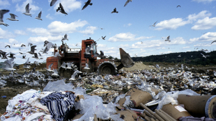 Biodegradables not environmentally friendly image: Biodegradables not environmentally friendly
