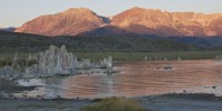 Arsenic-based life debate continues image: Arsenic-based life debate continues