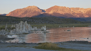 Arsenic-based life debate continues image: Arsenic-based life debate continues