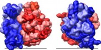 image: Top 7 in molecular biology