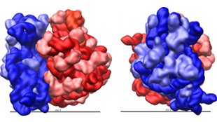 Top 7 in molecular biology image: Top 7 in molecular biology