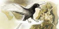 image: Color by Number Fossils