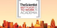 image: Best Places to Work Academia, 2011