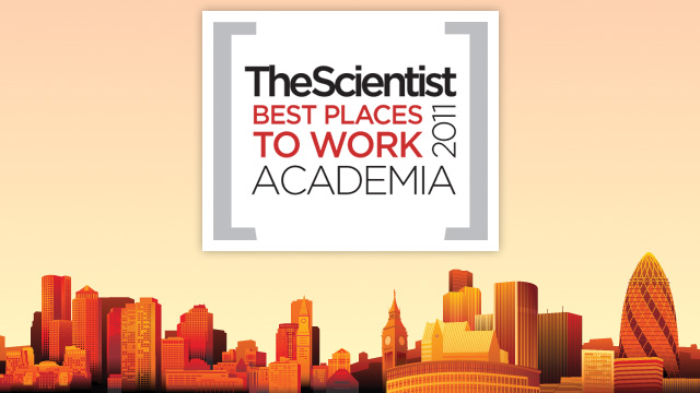 Best Places to Work Academia, 2011 image: Best Places to Work Academia, 2011