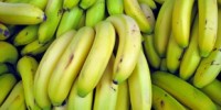image: The Beginning of the End for Bananas?