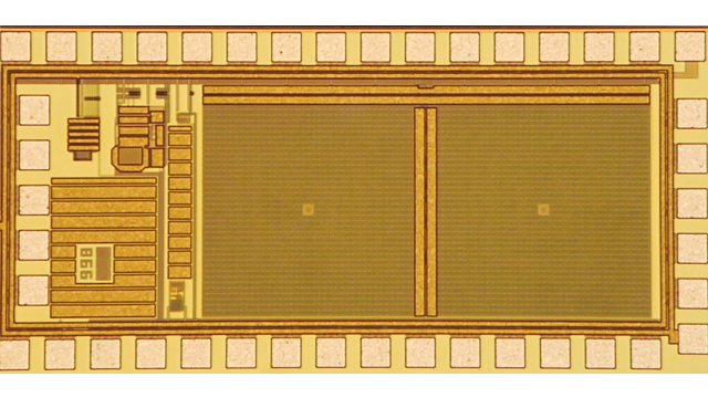 Next Generation: World’s Smallest Camera image: Next Generation: World’s Smallest Camera