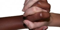 image: Opinion: Diversity for Conservationists and Biota