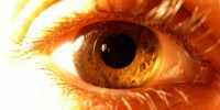 image: Latitude Affects Human Eye Size