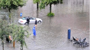 Rising Waters Wash Away Cell Lines image: Rising Waters Wash Away Cell Lines