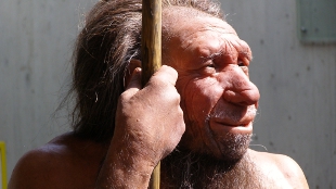 Neanderthal DNA in Modern Humans image: Neanderthal DNA in Modern Humans