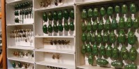 Preserved beetles from the Academy's collection, which dates back to the 1820s.