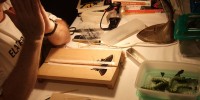 Assistant curator Jason Weintraub prepares butterfly samples for preservation as he answers questions.