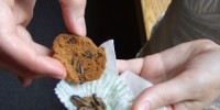 …and chocolate-chirp cookies with baked crickets. 