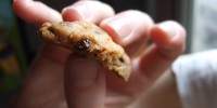 …and chocolate-chirp cookies with baked crickets.