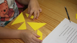 Role of Nurture in Spatial Abilities image: Role of Nurture in Spatial Abilities