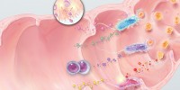 image: Helpful Bacterial Metabolites
