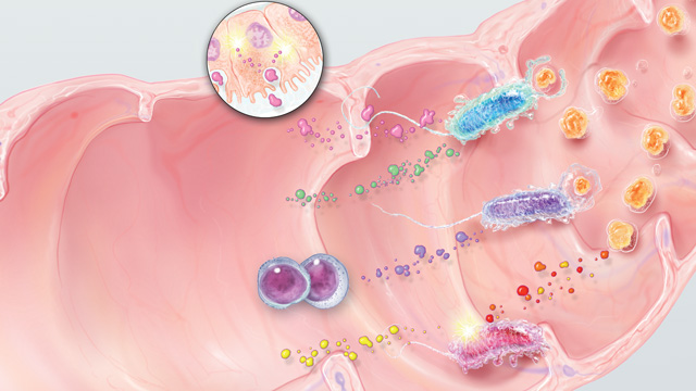 Helpful Bacterial Metabolites image: Helpful Bacterial Metabolites