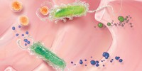 image: Harmful Bacterial Metabolites