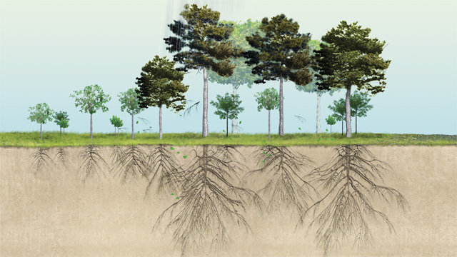 From the Ground Up image: From the Ground Up