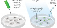 image: Deep Tissue Treatment