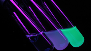 Top 7 in Molecular Biology image: Top 7 in Molecular Biology