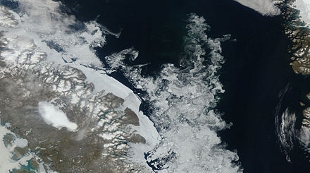 Protection Sought for Climate Researcher image: Protection Sought for Climate Researcher